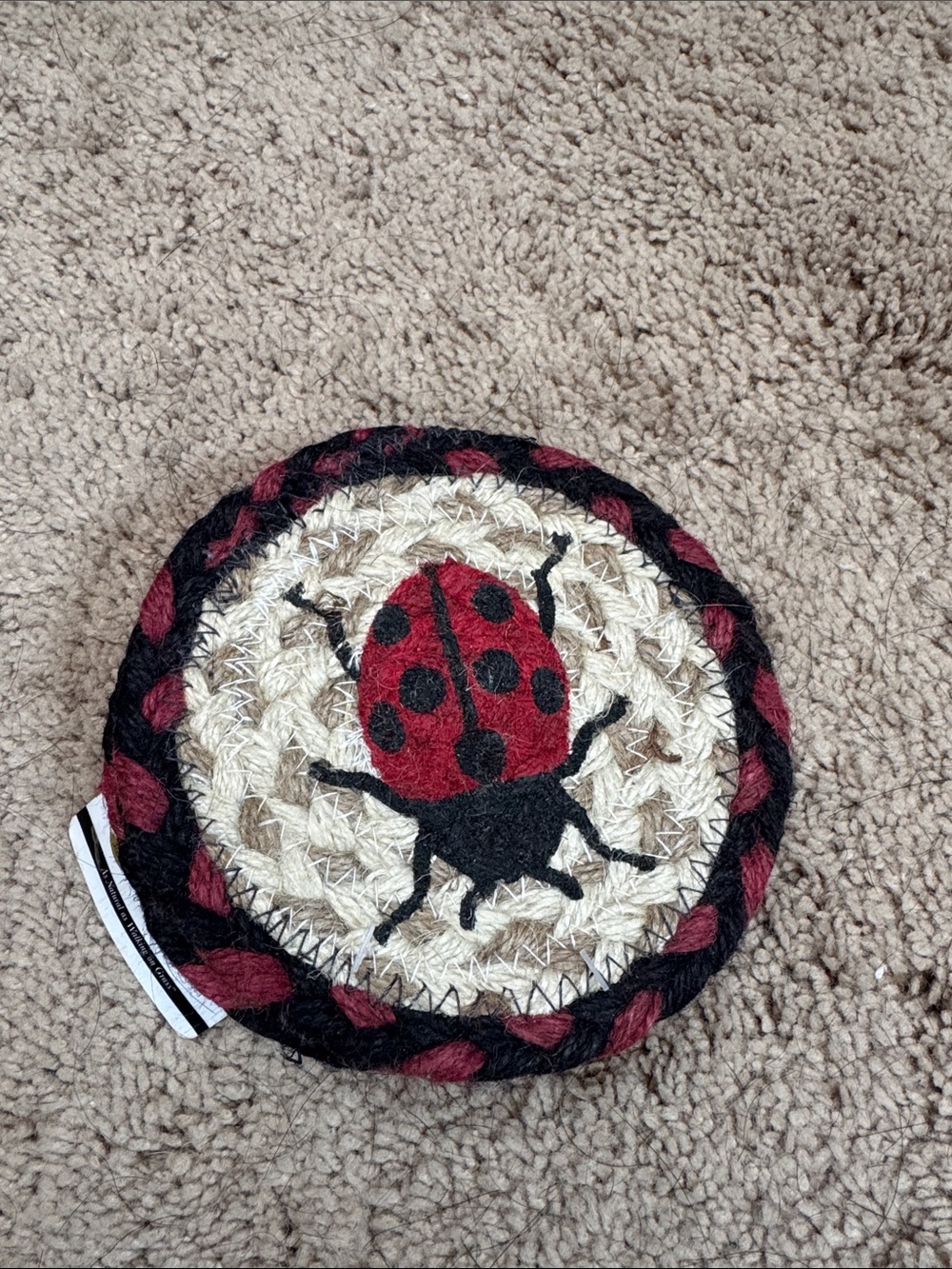 Braided Ladybug Coaster - Red, Black, and Natural